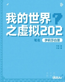 我的世界之虚拟202